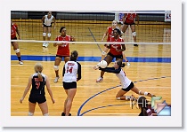 vs HPark * (84 Slides)